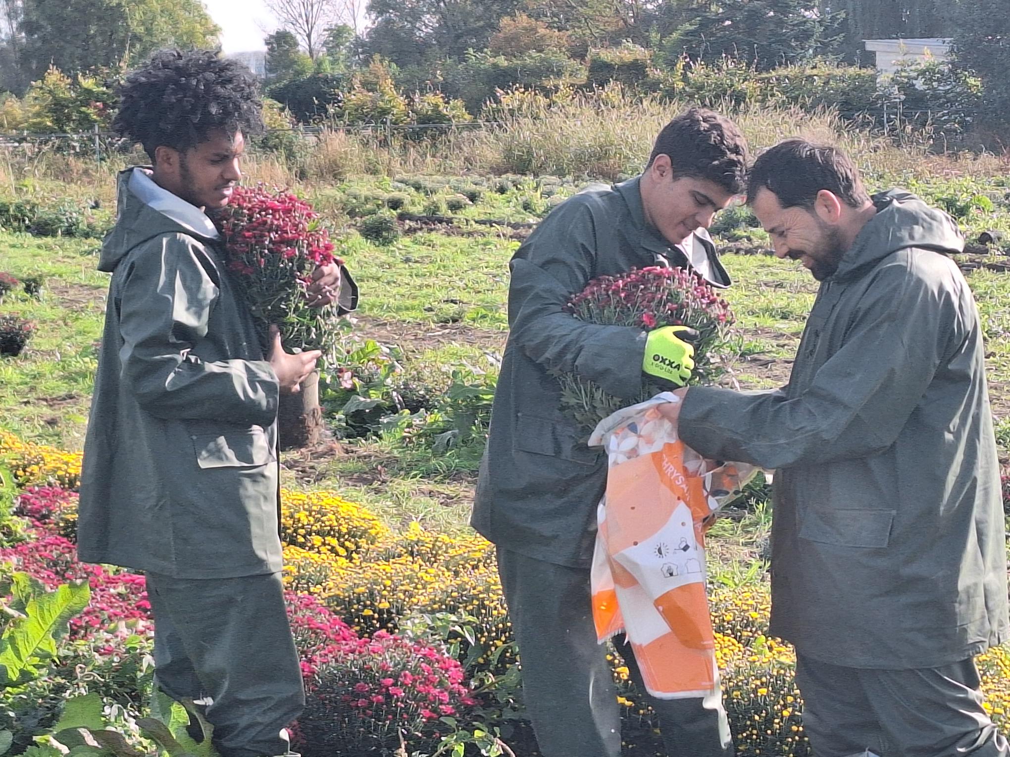 Afbeelding met kleding, persoon, buitenshuis, plantAutomatisch gegenereerde beschrijving