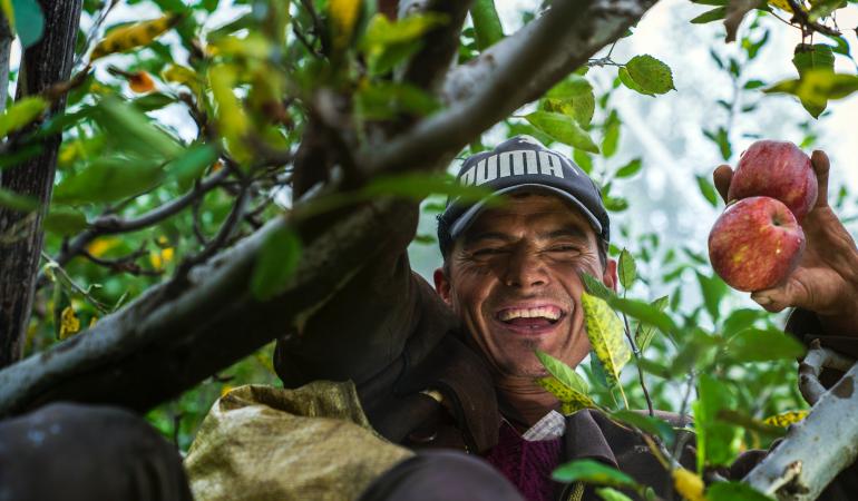 seizoenarbeid land- en tuinbouw